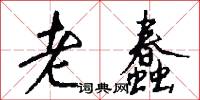 老蠢怎么写好看