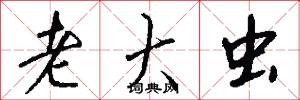 老大虫怎么写好看