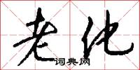 老化怎么写好看