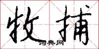 收捕怎么写好看