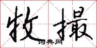 收撮怎么写好看