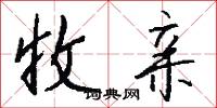 收亲怎么写好看