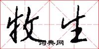 收生怎么写好看