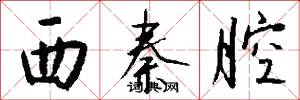 西秦腔怎么写好看