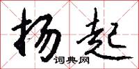 扬起怎么写好看