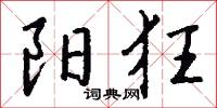 阳狂怎么写好看