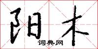 阳木怎么写好看