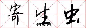 寄生虫怎么写好看