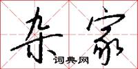 杂家怎么写好看