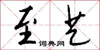 至艺怎么写好看