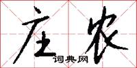 庄农怎么写好看