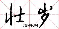 壮岁怎么写好看