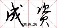 成资怎么写好看