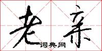 老亲怎么写好看