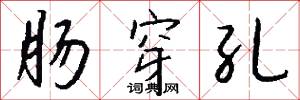 肠穿孔怎么写好看