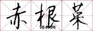 赤根菜怎么写好看