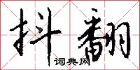 抖翻怎么写好看