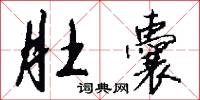 肚囊怎么写好看