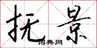 抚景怎么写好看