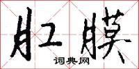 肛膜怎么写好看