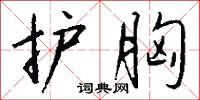 护胸怎么写好看