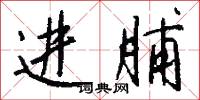 进脯怎么写好看