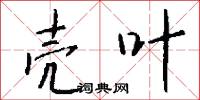 壳叶怎么写好看