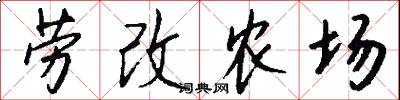 劳改农场怎么写好看