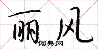 丽风怎么写好看