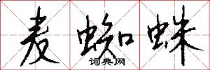 麦蜘蛛怎么写好看