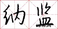 纳监怎么写好看