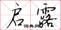 启露怎么写好看