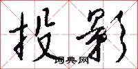 投影怎么写好看