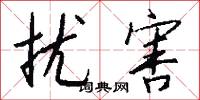 扰害怎么写好看