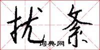 扰紊怎么写好看