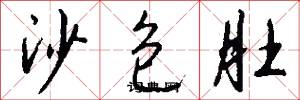 沙包肚怎么写好看