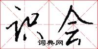 识会怎么写好看