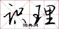 识理怎么写好看