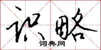 识略怎么写好看