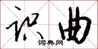 识曲怎么写好看