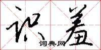 识羞怎么写好看