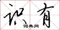 识有怎么写好看