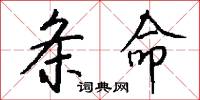 条命怎么写好看
