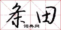 条田怎么写好看