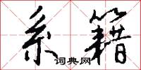 系籍怎么写好看