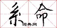 系命怎么写好看