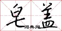 皂盖怎么写好看