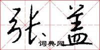 张盖怎么写好看