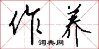 作养怎么写好看