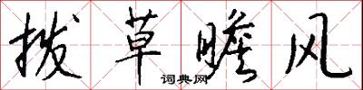 拨草瞻风怎么写好看
